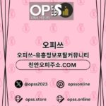 Foto del perfil de 홍대오피 오피사이트.NET 홍대OP